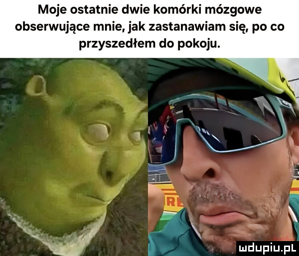 moje ostatnie dwie komórki mózgowe obserwujące mnie jak zastanawiam się po co przyszedłem do pokoju