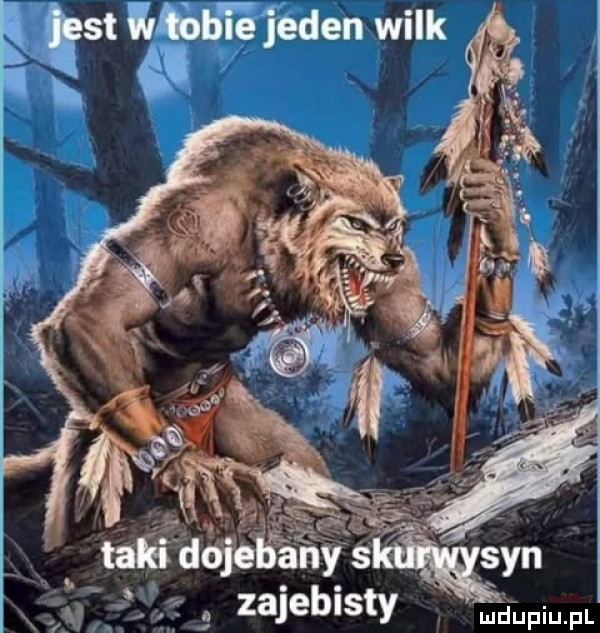 e edta ma jeden wilk