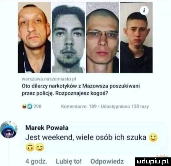 odo dllerxy narkolykdw   maluwsza paszuklwam przez pollen. rozpomnjesz kogos   marek pownln jus weekend wiele osób ich szuka u agodz lubiewo odpowiedz