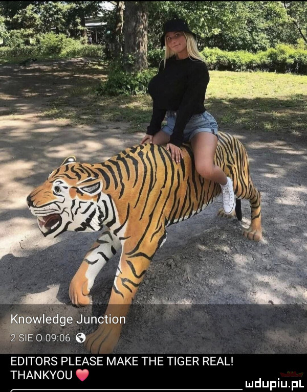sie           editors please make tee tiger real thankyou o mdupiu pl