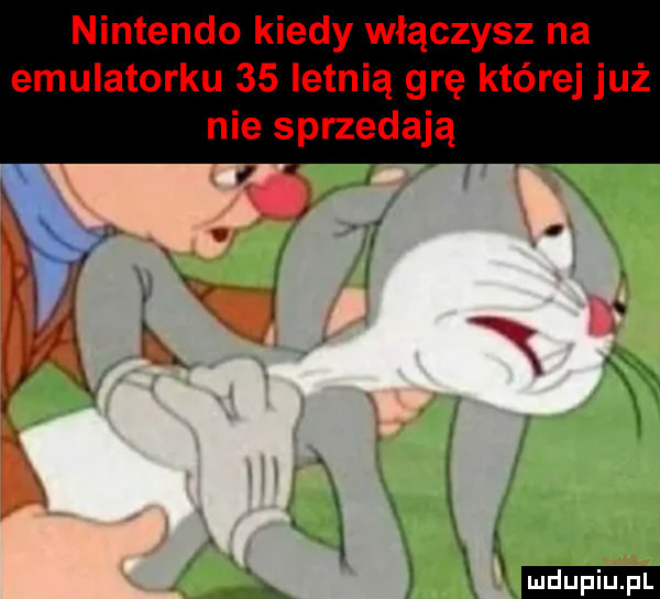 nintendo kiedy włączysz na emulatorku    letnią grę której już nie sprzedają