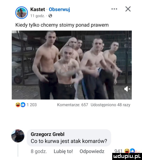 kastet obsemuj x wodz e         komentarze     udostępmono    lazy. grzegorz grebl co to kurwa jest atak komarów bgodz lubięlo odpowiedz