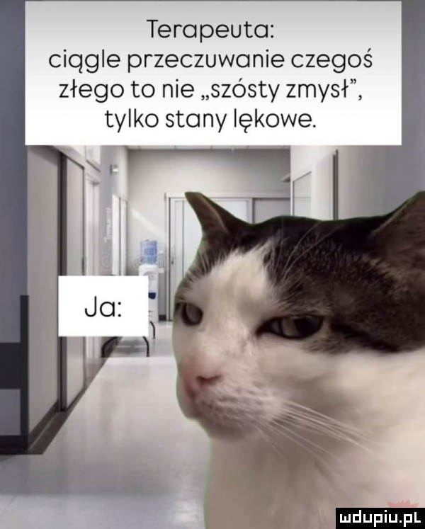 terapeuta ciągle przeczuwanie czegoś złego to nie szósty zmysł tylko stany lękowe. ludu iu. l