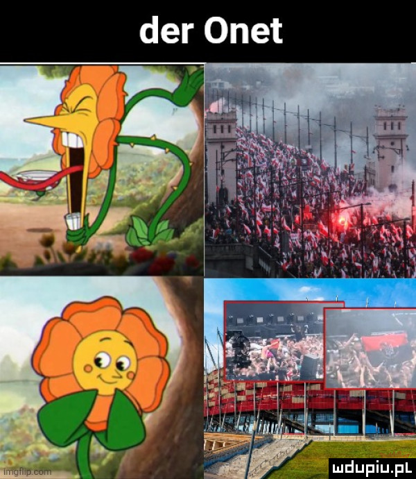 Obrazek