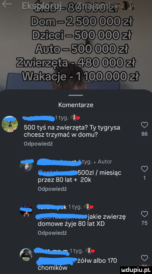 komentarze we i m     tyś na zwierzęta ty tygrysa chcesz trzymać w domu    odpowiedź t tag. autor oozi miesiąc przez    lat   k   odpowiedź k tag mpkiezwierze domowe żyje    lat xd    odpowiedź mew w  é w albo   o chomikow dupiutęl