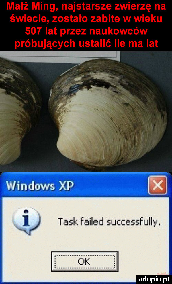windows xp i. l taskfailed sac essfull