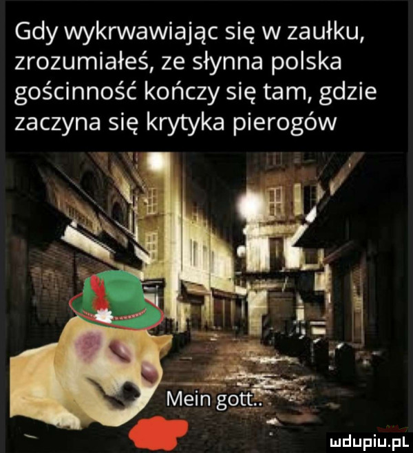 gdy wykrwawiając się w zaułku zrozumiałeś ze słynna polska gościnność kończy się tam gdzie zaczyna się krytyka pierogów