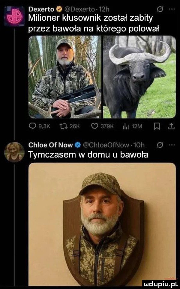 dexerto dexuxmv  h o milioner klusownik został zabity przez bawoła na którego polował ozn   mm ma      w i l fr chloe of nowe chloninow  va o   z tymczasem w domu u bawoła