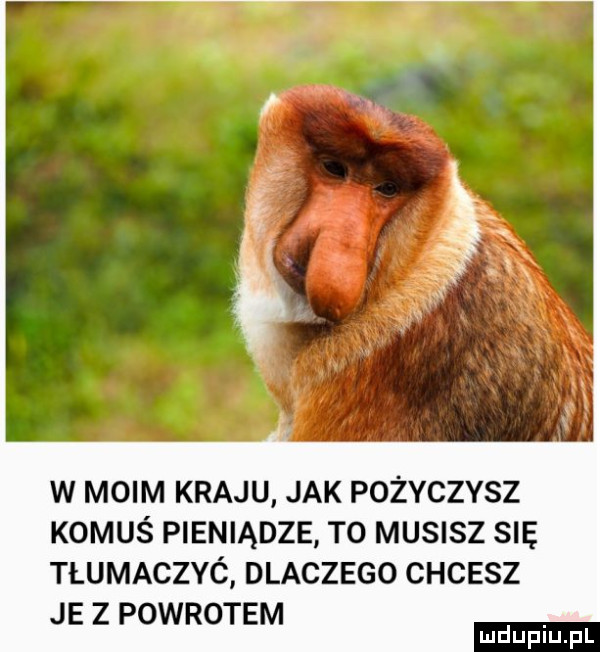 w moim kraju jak pożyczysz komuś pieniądze t  musisz się tłumaczyó dlaczego chcesz je z powrotem