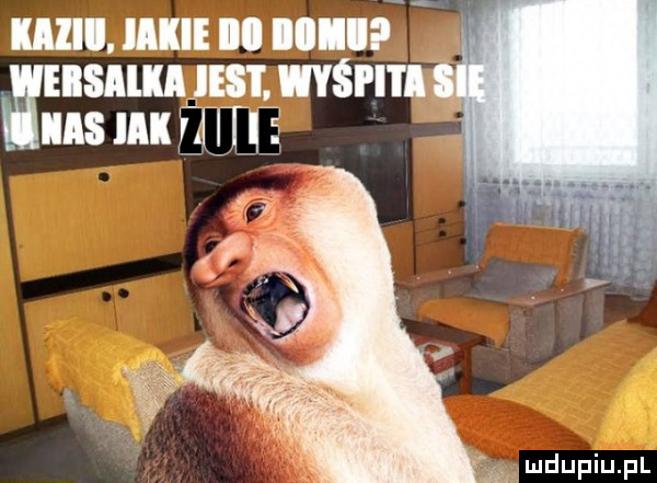 um. um nl unii isaikajest. mśrm ns lu mm