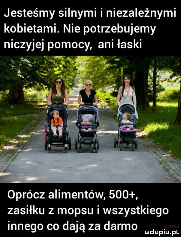 jesteśmy silnymi i niezależnymi kobietami. nie potrzebujemy oprócz alimentów     zasiłku z mop-u i wszystkiego innego co dają za darmo mówi fl