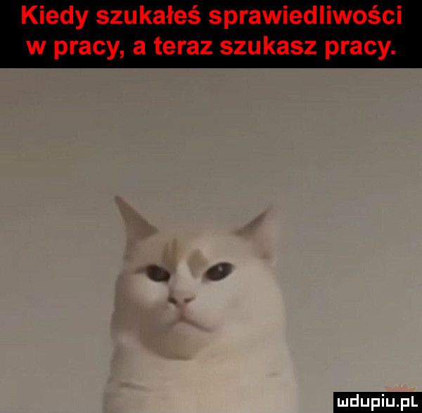 upiu pl