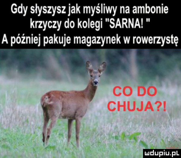 Obrazek
