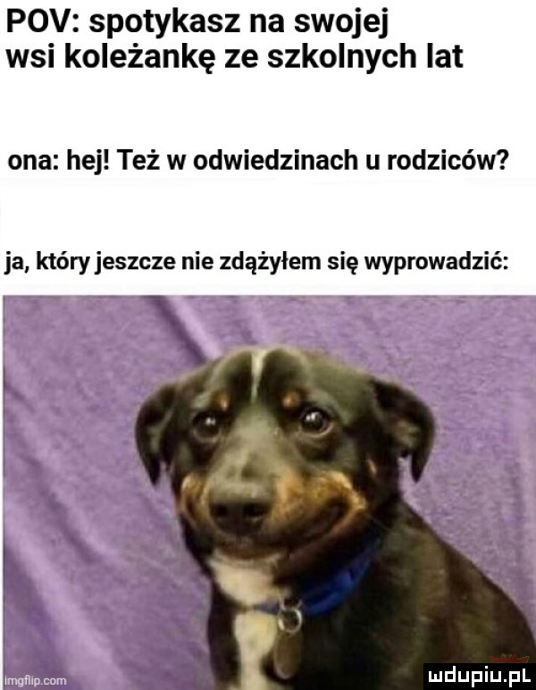 pcv spotykasz na swojej wsi koleżankę ze szkolnych lat ona hej też w odwiedzinach u rodziców ja który jeszcze nie zdążyłem się wyprowadzić