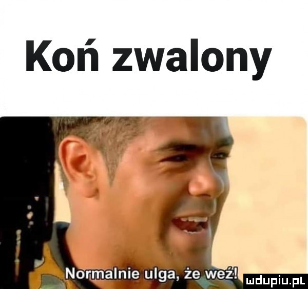koń zwalony v i. abakankami. normalkę l lea ze wez
