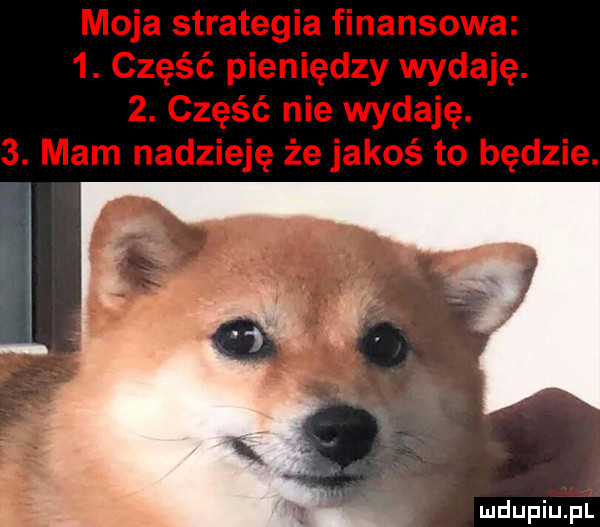 Obrazek