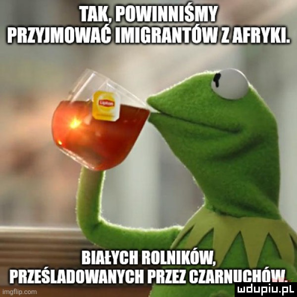 Obrazek