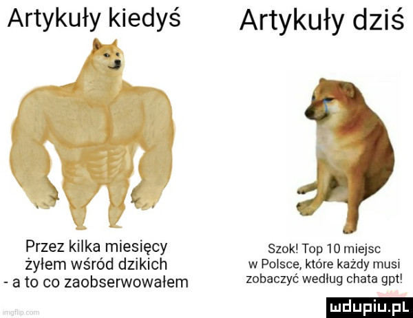 artykuły kiedyś w. j a  . przez kilka miesięcy żyłem wśród dzikich a to co zaobserwowałem artykuły dziś szok top    miejsc w polsce które każdy musi zobaczyć według chara gat ludu iu. l
