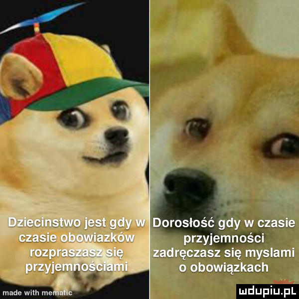 Obrazek