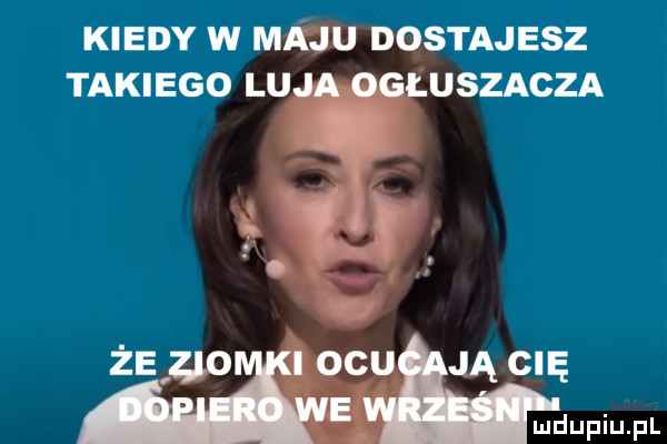 kiedy w maju dostajesz takiego luja ogłuszacza   że z o obu jącię a wdupiu pl