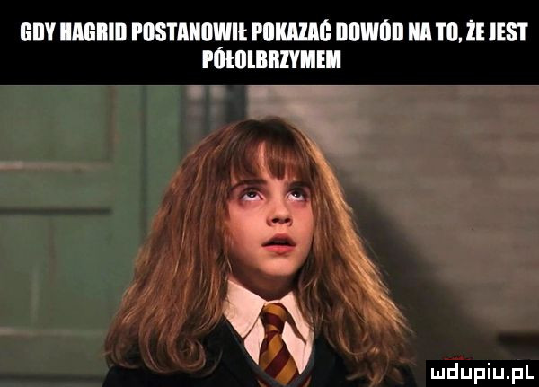ei iiagiiiii fiistaiiiiwił pukałaś mami ica tai. że ihs i pńłlllbiłlvmem