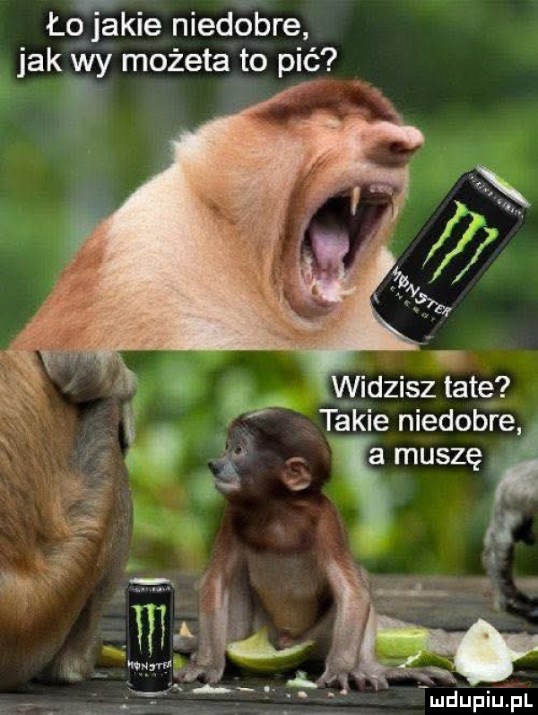 Obrazek