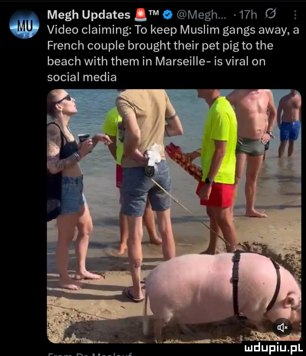 mech updates   o mech.   h c  video claiming to kiep muslim ganas away a french couple brought their pet pieto tee blach with them in marseille is viral on socjal media. mmnekiw mduplu pl