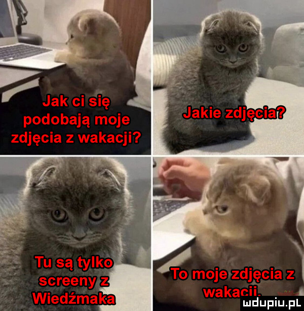 Obrazek