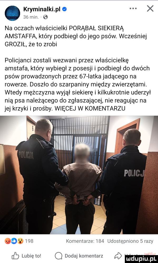 kryminalki p o x    mm   na oczach właścicielki porąbał siekierą amstaffa który podbiegł do jego psów. wcześniej grozil ze to zrobi policjanci zostali wezwani przez właścicielkę amstafa który wybiegi z posesji i podbiegł do dwóch psów prowadzonych przez    iatkajadącego na rowerze. doszło do szarpaniny między zwierzętami. wtedy mężczyzna wyjął siekierę i kilkukrotnie uderzył nia psa należącego do zgłaszającej nie reagując na jej krzyki i prośby. więcej w komentarzu v xx d     komentarze     udostępniono s razy lubiętoi q dodaj komentarz m