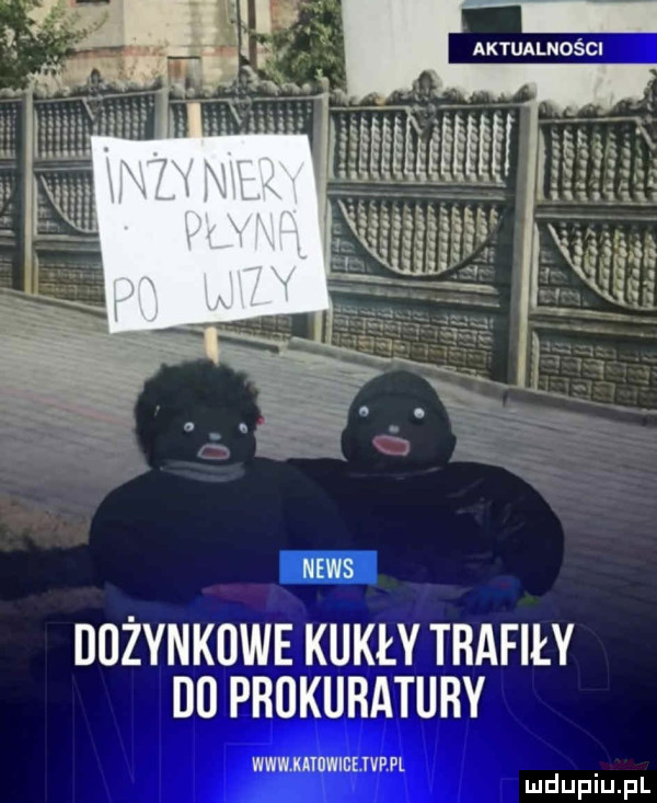 dużynkdwe kukły trafiły dup   tury