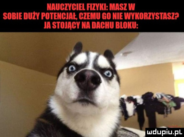 x żal luduplu