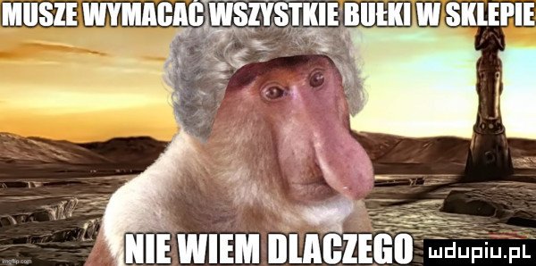 icie wiem illagleiiii uupiu p