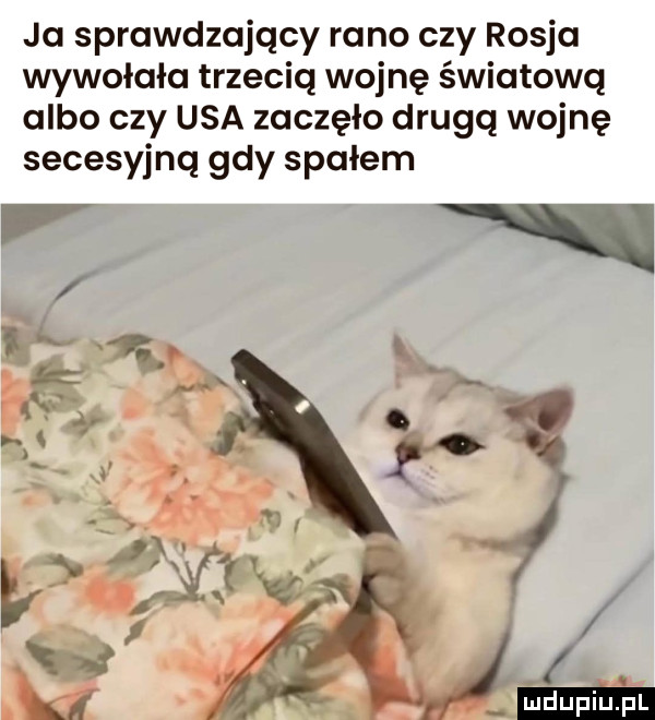 ja sprawdzający rano czy rosja wywołała trzecią wojnę światową albo czy usa zaczęło drugą wojnę secesyjną gdy spałem