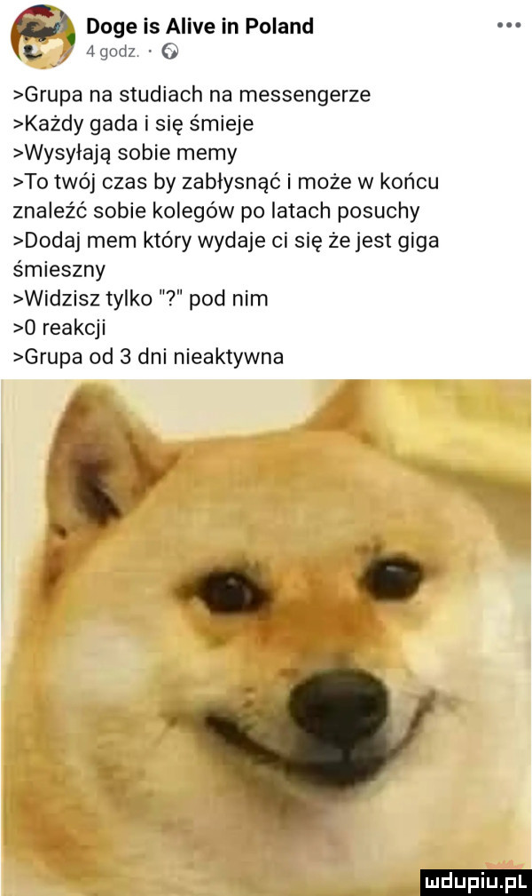 w. doje is alice in poland l aqodz o grupa na studiach na messengerze każdy gada i się śmieje wysyłają sobie memy to twój czas by zabłysnąć i może w końcu znaleźć sobie kolegów po latach posuchy d daj mem który wydaje ci się że jest giga śmieszny widzisz tylko   pod nim   reakcji grupa od   dni nieaktywna i i b ludu iu. l