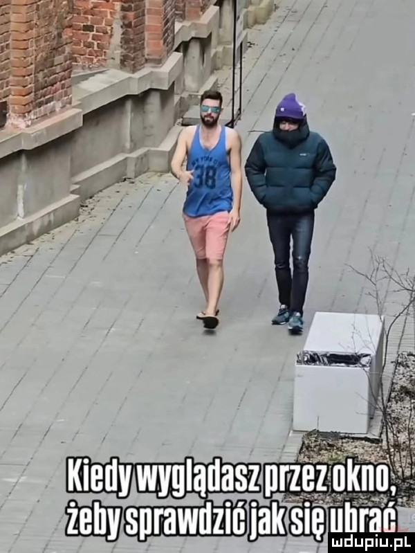 Obrazek