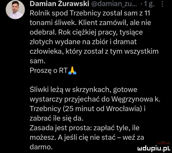 damian żurawski damiamm.  g rolnik spod trzebnicy zostal sam     tonami śliwek. klient zamówil ale nie odebral. rok ciężkiej pracy tysiące zlotych wydane na zbiór i dramat czlowieka który został z tym wszystkim sam. proszę o rtl śliwki leżą w skrzynkach gotowe wystarczy przyjechać do węgrzynowa k. trzebnicy    minut od wroclawia i zabrać ile się da. zasada jest prosta zapiać tyle ile możesz. ajeśli cię nie stać weź za darmo
