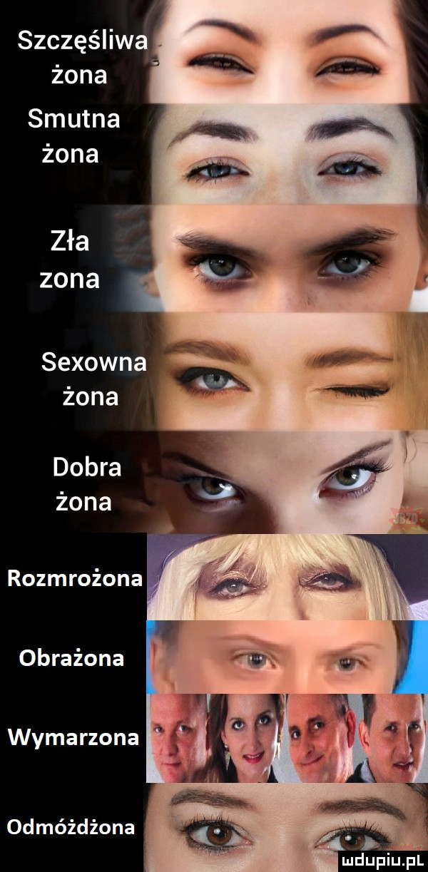 szczęśhwa żona smutna żona sexowna żona dobra żona rozmrożona obrażona wymarzona odmóżdżona