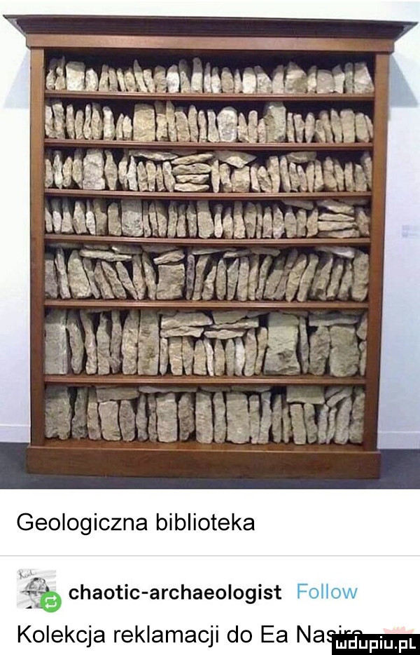 aanmmńmmnnxrś sfer lgiń wm gi smsawńewsm fiś geologiczna biblioteka a chaotic archaeologist kolekcja reklamacji do ea na d faul