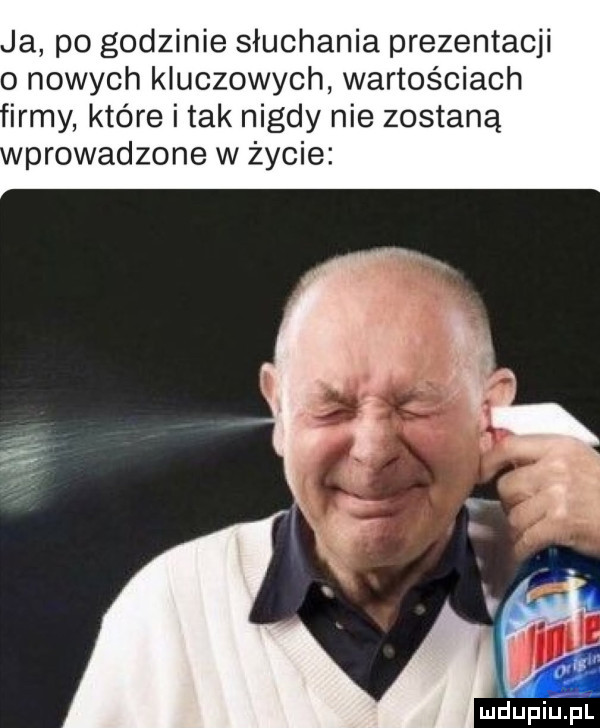 ja po godzinie słuchania prezentacji   nowych kluczowych wartościach irmy które i tak nigdy nie zostaną prowadzone w życie miiupiupl