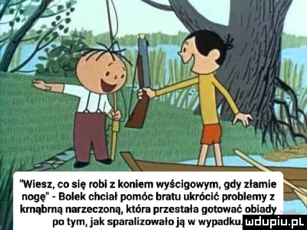Obrazek