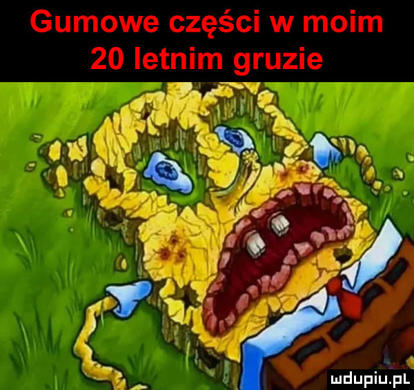 Obrazek