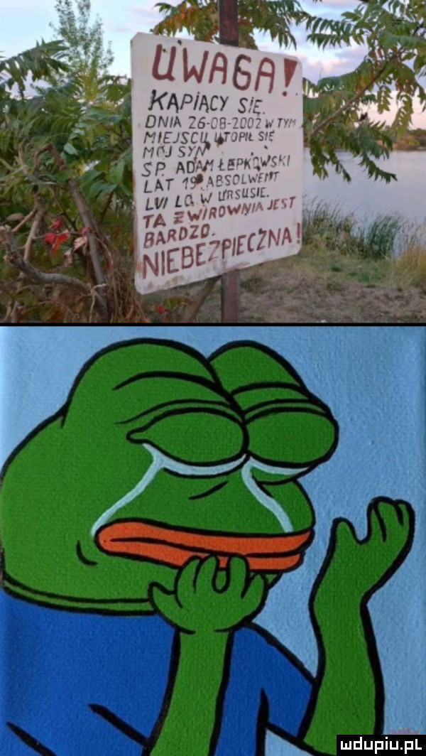 dam   we wsfu. nu