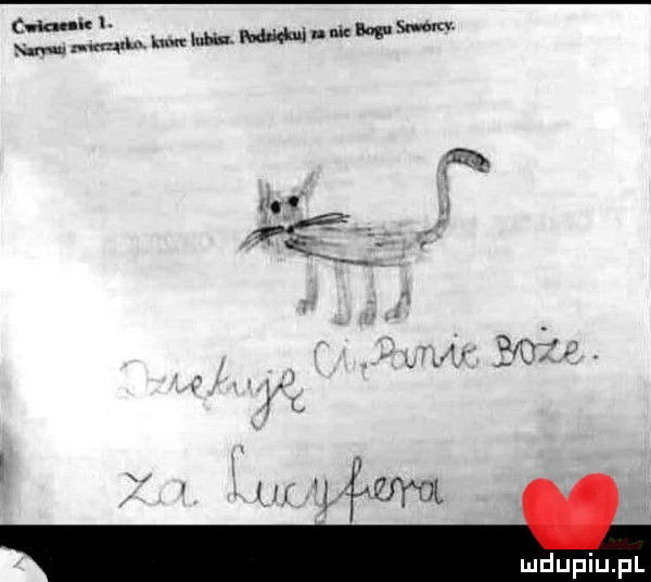 Obrazek