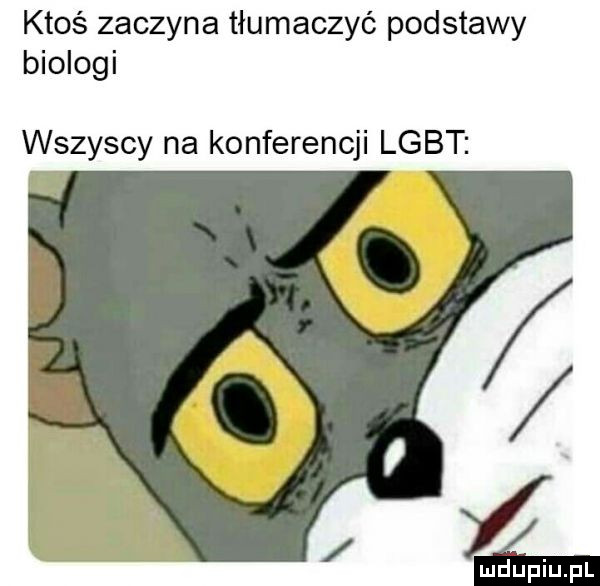 ktoś zaczyna tłumaczyć podstawy biologi wszyscy na konferencji lgbt