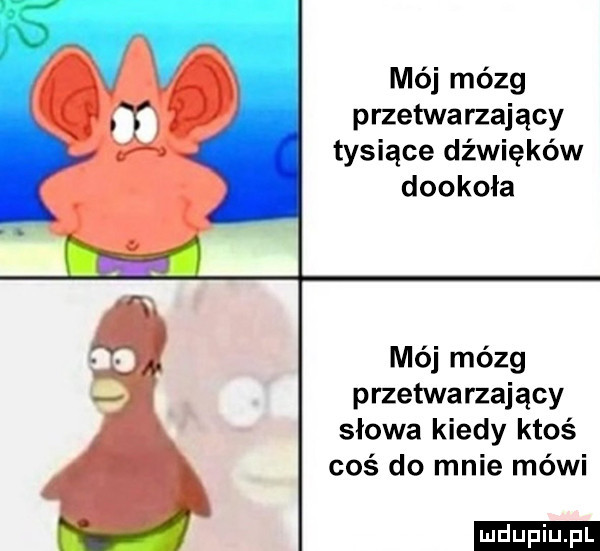mój mózg przetwarzający tysiące dźwięków dookoła mój mózg przetwarzający słowa kiedy ktoś coś do mnie mówi ludu iu. l
