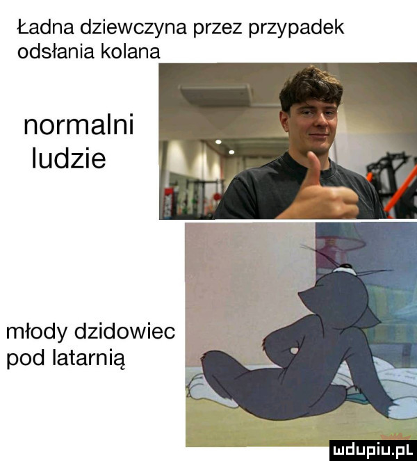 ładna dziewczyna przez przypadek odsłania kolana normalni ludzie młody dzikowiec pod latarnią mdupiij pl
