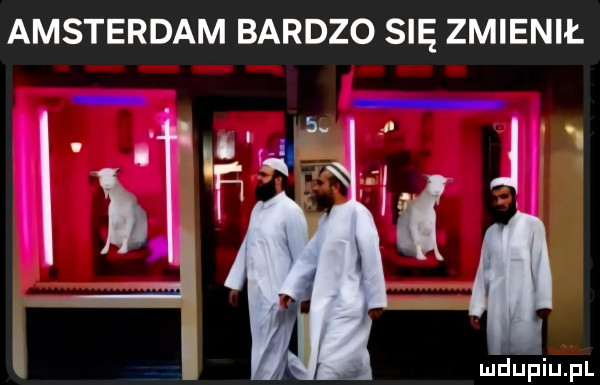 amsterdam bardzo się zmienił
