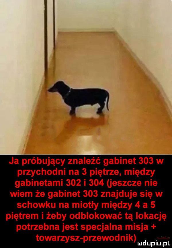 ja próbujący znaleźć gabinet     w przychodni na   piętrze między gabinetami     i     jeszcze nie wiem że gabinet     znajduje się w schowku na miotły między   a   piętrem i żeby odblokować tą lokację potrzebna jest specjalna misja towarzysz przewodnik