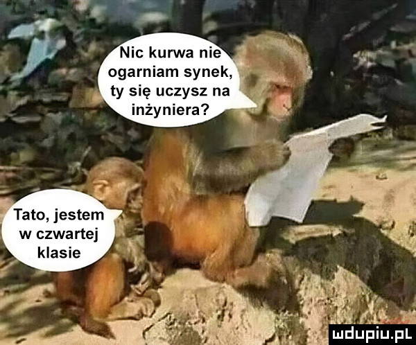 ogarniam synek ty się uczysz na inżyniera tato jestem w czwartej klasie rr n y a f f mduplu pl