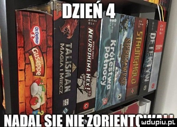 xvi.  i iiiiieiiti jesejfl c a nih ru. na w n. tz m   w. n zea n mm a i l